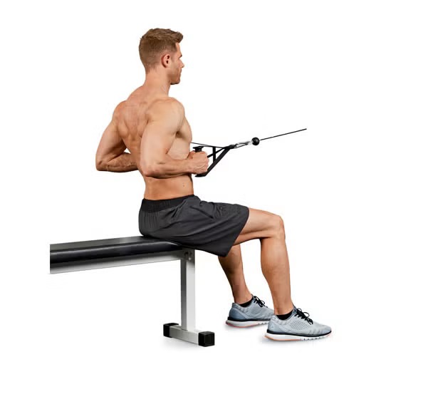 seated cable row